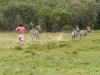 Gorily, rafting, najkrajšia hora, safari  a oceán – Afrika 2014