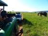 Gorily, rafting, najkrajšia hora, safari  a oceán – Afrika 2014