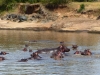 Gorily, rafting, najkrajšia hora, safari  a oceán – Afrika 2014