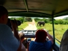 Gorily, rafting, najkrajšia hora, safari  a oceán – Afrika 2014