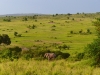 Gorily, rafting, najkrajšia hora, safari  a oceán – Afrika 2014