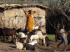 Gorily, rafting, najkrajšia hora, safari  a oceán – Afrika 2014