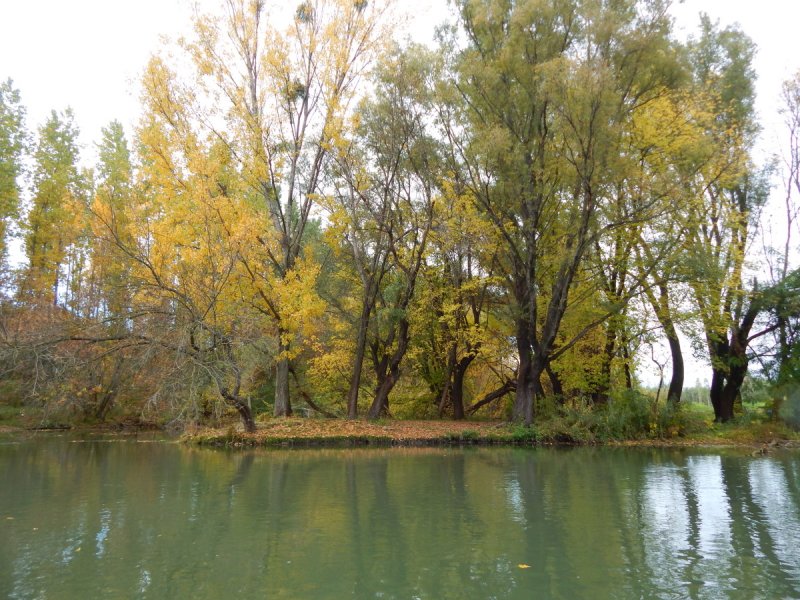 Jeseň na malom Dunaji