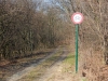 Königswarte