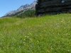 Livigno na bicykli