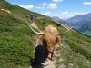 Livigno na bicykli