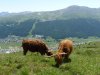 Livigno na bicykli