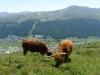 Livigno na bicykli