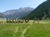 Livigno na bicykli