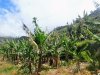 Madeira - ostrov návratov