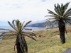 Madeira - ostrov návratov