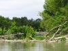 Boat4u - požičovňa lodí na Malom Dunaji