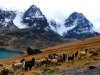Mnoho krát naj z krajiny Inkov - PERU a BOLÍVIA