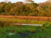 Pantanal