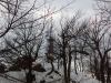 Roštún - vrcholová rozhľadňa
