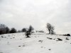 Klokoč