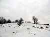 Klokoč