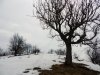 Klokoč