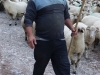 Rumunsko Apuseni máj 2015 - 2. turnus