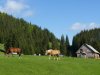 Rumunsko Apuseni máj 2015 - 2. turnus