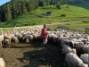 Rumunsko Apuseni máj 2015 - 2. turnus