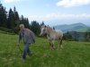 Rumunsko Apuseni máj 2015 - 2. turnus