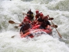 Uganda rafting