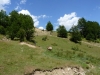 V Bosne ako vo sne