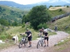 V Bosne ako vo sne