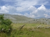 V Bosne ako vo sne