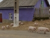 Veľkonočný Banát