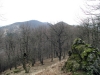 Veterlín
