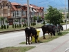 Vôbec nie lážo plážo Macedónsko