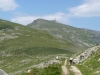 P1110863_resize