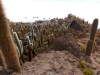 Z Bolívie do Ria - pre trekerov a horolezcov